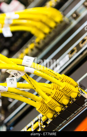 Giallo cavi ethernet inserito in una fascia alta macchina router a un computer i dati di supporto centrale il cloud computing Foto Stock