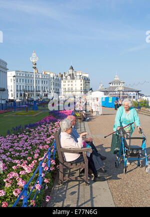 Letti di fiori sul lungomare di Eastbourne Regno Unito Foto Stock