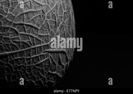 Una macro close up foto in bianco e nero di una roccia melone Foto Stock