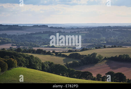 Vista su tutta la campagna dell'Hampshire dal vecchio Winchester Hill in Hampshire, Inghilterra Foto Stock