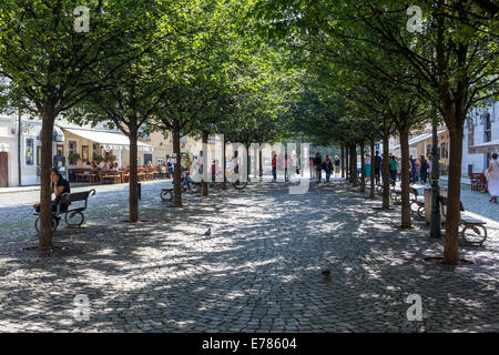 Praga Piazza Na Kampe Praga Isola di Kampa Mala Strana Praga, Repubblica Ceca Foto Stock