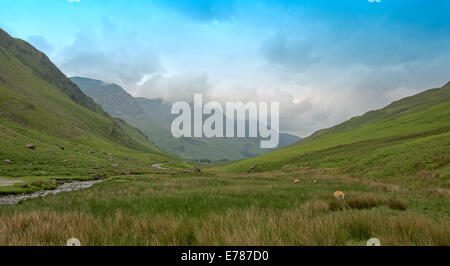 Inglese paesaggio vicino Honister Pass Cumbria, valle di smeraldo, mormorando qualcosa stream, verdi colline e montagne sotto nuvole basse & blue sky. Foto Stock