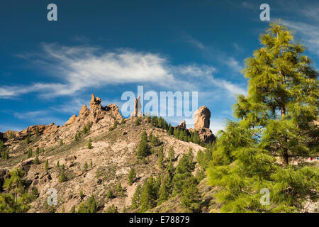 Serie di pinnacoli rocciosi tra cui Roque de Aguja (l'ago), La Rana (rana) e Roque Nublo, Gran Canaria Foto Stock