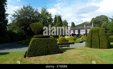 Plas Newydd e topiaria da, casa dei signori di Llangollen in Denbighshire North Wales UK Gran Bretagna KATHY DEWITT Foto Stock