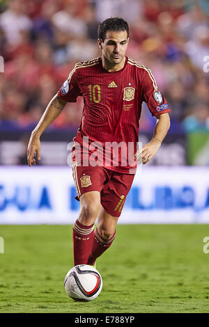 Valencia, Spagna. 08 Sep, 2014. Centrocampista Cesc Fabregas in azione durante il Campionato Europeo in qualifica. Spagna contro la Macedonia. Credito: Azione Sport Plus/Alamy Live News Foto Stock