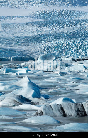 Il ghiacciaio Vatnajokull decending a livello del mare a Fjallsarlon, Islanda Orientale Foto Stock