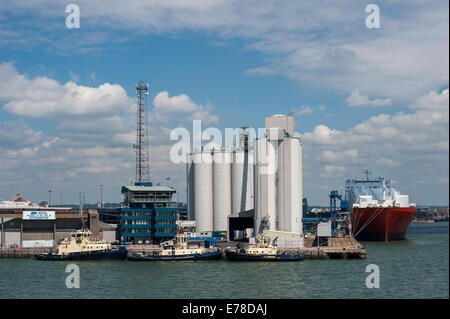 MV Tampa, roll on/roll off nave portacontainer in Southampton docks, Inghilterra. Foto Stock