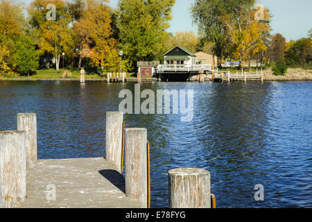 In piedi su un molo, guardando attraverso un fiume a fine estate / inizio autunno. Lupo nel fiume Wisconsin, USA. Foto Stock