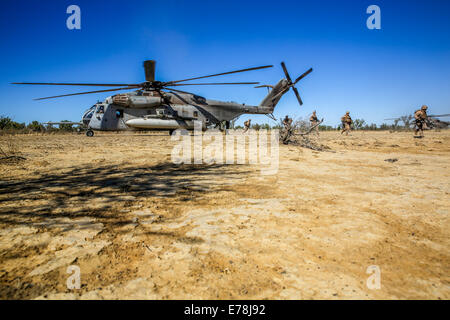 Un U.S. Marine Corps CH-53 Sea Stallion elicottero scende Marines con Bravo Company, 1° Battaglione, quinto reggimento Marine, Marine Force-Darwin rotazionale il Agosto 21, 2014, durante un'esercitazione a fuoco come parte di Koolendong 2014 al Bradshaw la formazione sul campo Foto Stock