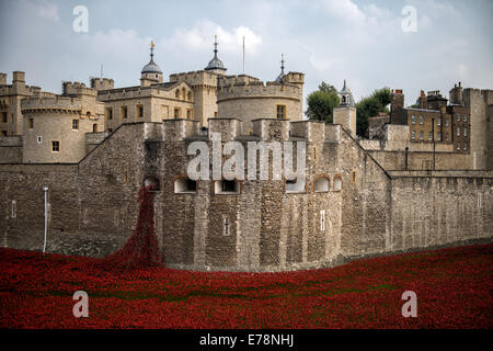 Torre di Londra è il Palazzo Reale, la fortezza e un castello storico situato sulla riva del fiume Tamigi. Foto Stock