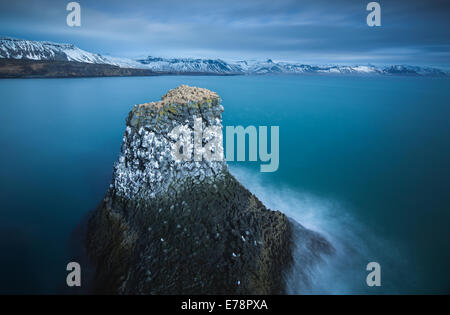 Una pila di mare striate con il guano di fulmars ed kittiwakes, nr Arnastapi, Snaefellsnes Peninsula, western Islanda Foto Stock