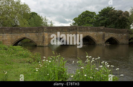 Ornato del XIV secolo ponte ad arco oltre il fiume Wye a villaggio inglese di Bakewell con grappoli di fiori selvatici in riverbank Foto Stock