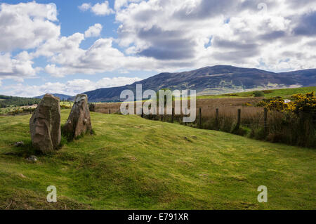 Uno dei numerosi circoli di pietra su Machrie Moor, Isle of Arran. Foto Stock