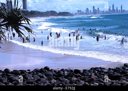 Surfers godendo le onde a Burleigh capi sulla Gold Coast in Australia.Surfers Paradise è in distanza. Foto Stock