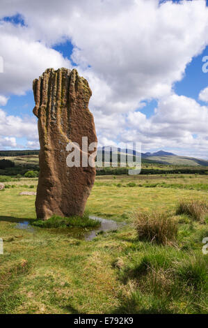 Pietra permanente Marchrie Moor, Isle of Arran. Capra cadde in background. Foto Stock