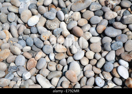 Close up di ciotoli arrotondati sulla spiaggia di ciottoli di Chesil Beach a Chiswell, isola di Portland, Dorset, Inghilterra Foto Stock