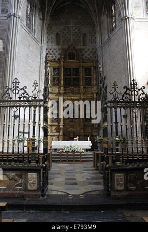 Portici all interno della chiesa, il tetto della Basilica di San Isidoro, strada di St Jacques di Compostella, il centro città di Leon, Spagna Foto Stock