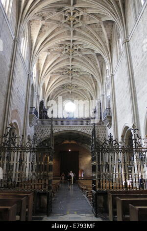 Portici all interno della chiesa, il tetto della Basilica di San Isidoro, strada di St Jacques di Compostella, il centro città di Leon, Spagna Foto Stock