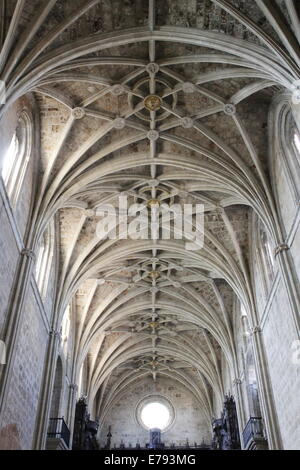 Portici all interno della chiesa, il tetto della Basilica di San Isidoro, strada di St Jacques di Compostella, il centro città di Leon, Spagna Foto Stock