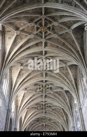 Portici all interno della chiesa, il tetto della Basilica di San Isidoro, strada di St Jacques di Compostella, il centro città di Leon, Spagna Foto Stock