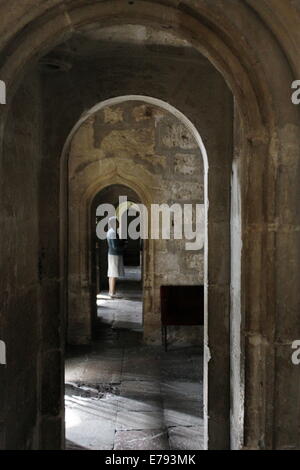 Arco all'interno della Basilica di San Isidoro, strada di St Jacques di Compostella, Leon Castiglia, Spagna Foto Stock