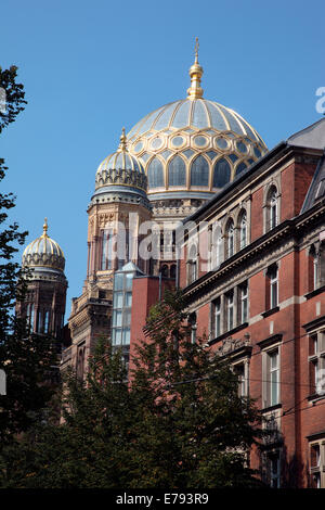 La nuova sinagoga di Berlino Foto Stock