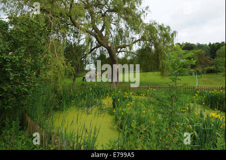 Giardino Pond con Pony Exmoor in The background on a Farm nel villaggio inglese di Cold Ash nel Berkshire, Inghilterra, Regno Unito Foto Stock