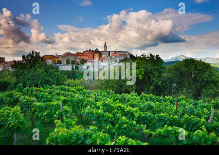 Labin - Istria, Croazia Foto Stock