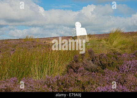 FAT Betty (nota anche come White Cross) a Rosedale Head Moorland North York Moors National Park North Yorkshire Inghilterra Regno Unito Foto Stock