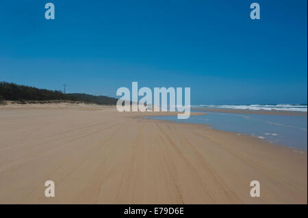 75 Mile Beach L'Isola di Fraser, Queensland, Australia Foto Stock