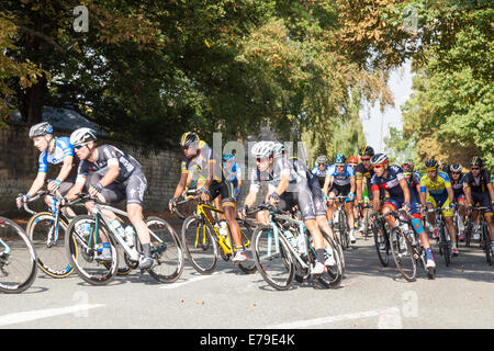 Cheltenham, Regno Unito. Decimo Sep, 2014. Equitazione Cylists il tour della Gran Bretagna cycle race passando per Prestbury, Cheltenham Il 10 settembre 2014. Gloucestershire. Worcester a Bristol Fase 4. Credito: David Dorey/Alamy Live News Foto Stock