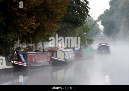 Narrowboats ormeggiato sul fiume Avon, misty all'alba, Stratford-upon-Avon, Regno Unito Foto Stock