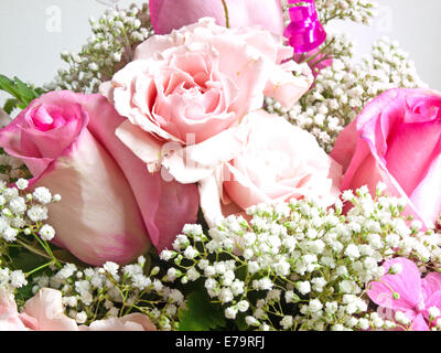 Bouquet di rose rosa Foto Stock