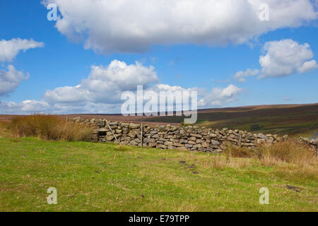 Un tradizionale in pietra a secco sulla parete una brughiera spazzate dal vento sotto un azzurro cielo molto nuvoloso in autunno Foto Stock