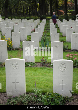 Tombe dei membri del pilota di parapendio reggimento del corpo dell'aria dell'esercito alleato il cimitero di guerra oosterbeek. Foto Stock