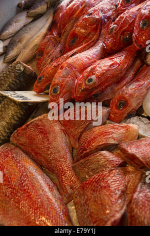 Asian mercato del pesce nella Chinatown di San Francisco, CA Foto Stock