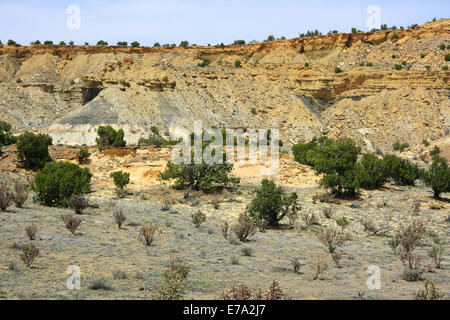 Giallo formazioni di arenaria e verde ginepri nel Nuovo Messico deserto Foto Stock