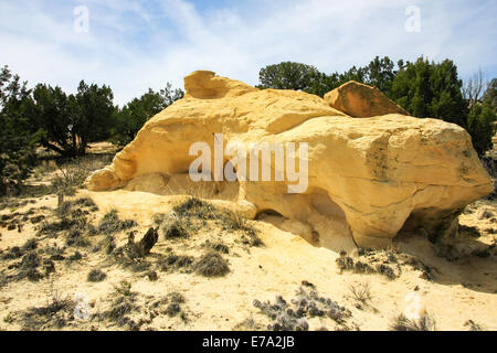 Giallo formazioni di arenaria e verde ginepri nel Nuovo Messico deserto Foto Stock