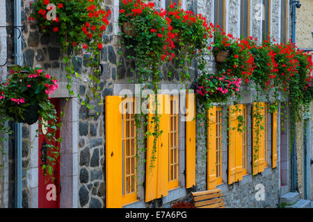 Vecchia casa di pietra con persiane di colore giallo, Rue du Petit Champlain, Città Bassa, Quebec, Canada Foto Stock