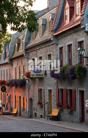 Vecchie case di pietra, Rue Sous-le-Fort, Città Bassa, Quebec, Canada Foto Stock