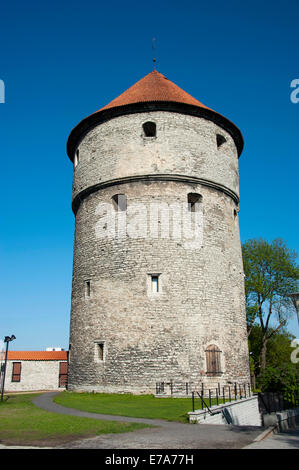 Kiek in de Kök tower, Toompea, le mura della città, città alta, il centro storico di Tallinn, Estonia, Stati Baltici Foto Stock