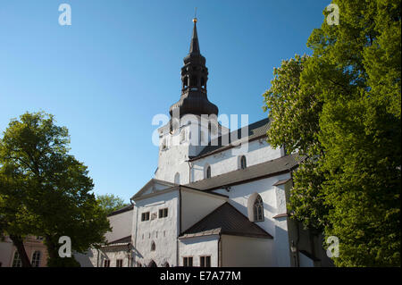 La Cattedrale di St Mary o Toomkirik, la collina di Toompea, Città Alta, Tallinn, Estonia, Stati Baltici Foto Stock