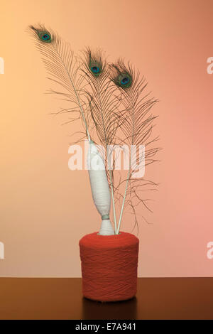 Penne di pavone in bobine di filo sul tavolo Foto Stock