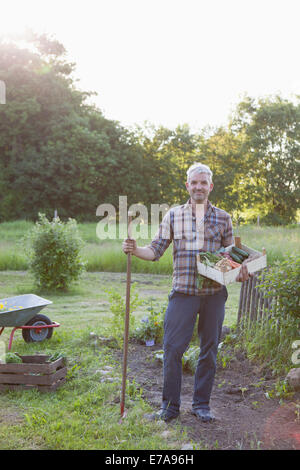 Lunghezza completa di uomo maturo che trasportano cassa di fresco verdure raccolte in giardino Foto Stock