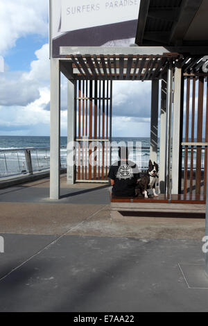 L'uomo con il suo cane seduto sul foreshore del Surfer's Paradise Beach in Australia Foto Stock