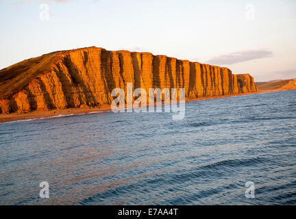 Golden luce della sera su scogliere di arenaria, Est scogliere, West Bay, Bridport, Dorset, Inghilterra Foto Stock