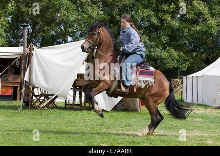 Allevamento di cavalli in un wild west show Foto Stock