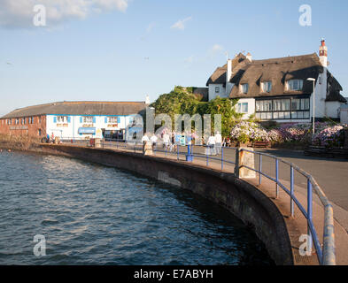 Con il tetto di paglia case storiche sul lungomare a Paignton, Devon, Inghilterra Foto Stock