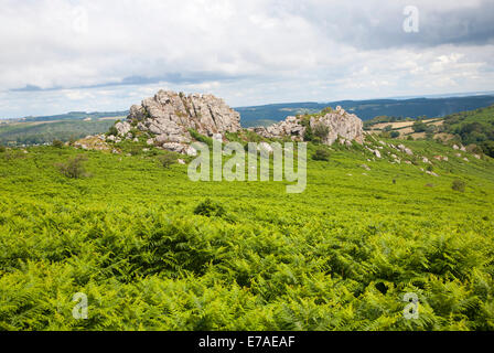 Altopiano di granito Greator paesaggio di rocce per, parco nazionale di Dartmoor, Devon, Inghilterra Foto Stock