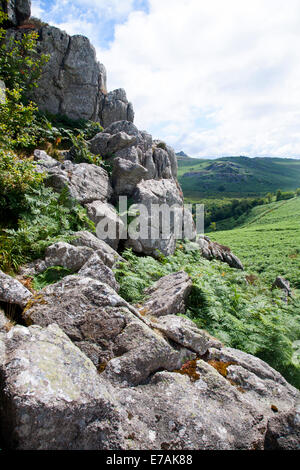 Montagna paesaggio di granito su rocce Greator tor, parco nazionale di Dartmoor, Devon, Inghilterra Foto Stock